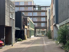 IMG_9875.JPG