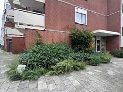 Rented: Riouwstraat 12, 1094 XP Amsterdam