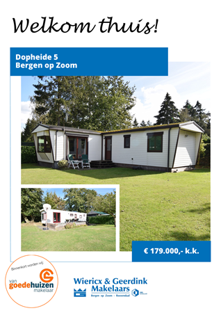 Brochure preview - Brochure - Dopheide 5 Bergen op Zoom.pdf