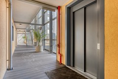 DeBoulevard2034617hcBergenopZoomNL-06.jpg