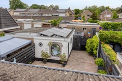 deLeemput314661vrHalsterenNL-35.jpg