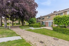 deLeemput314661vrHalsterenNL-46.jpg