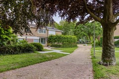 deLeemput314661vrHalsterenNL-47.jpg