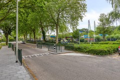 deLeemput314661vrHalsterenNL-50.jpg