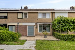 deLeemput314661vrHalsterenNL-02.jpg