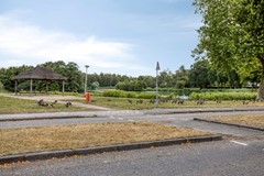 Meilustweg594614ECBergenopZoom-43.jpg
