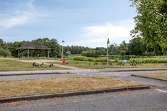 Meilustweg594614ECBergenopZoom-44.jpg