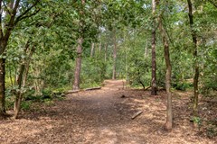 De Zeis 41, 5384 HJ Heesch - DeZeis415384HJHeesch-48.jpg