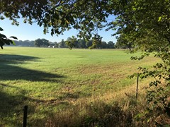 Elzenseloop 15, 5384 WL Heesch - IMG_7459.JPG