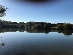 Elzenseloop 15, 5384 WL Heesch - IMG_7462.JPG