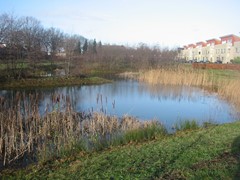 Elzenseloop 20, 5384 WL Heesch - 152-5233_IMG.JPG