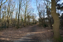 Elzenseloop 20, 5384 WL Heesch - DSC_4784.jpg