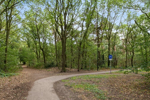 Property photo 46 - Biezenloop 107, 5384 WB Heesch