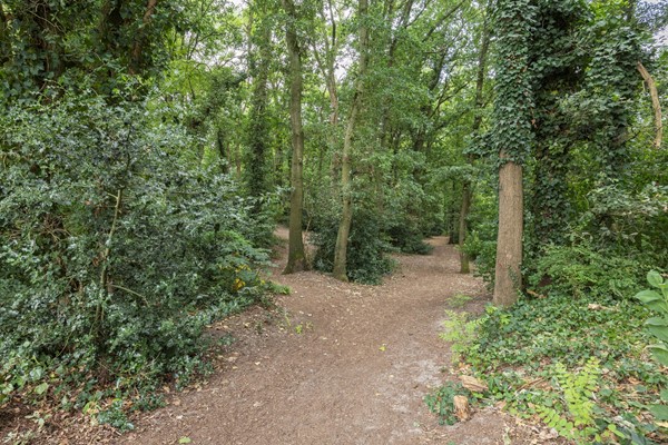 Property photo 44 - Deken van der Cammenweg 20, 5384 LW Heesch
