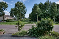 DSC_1176_hdr.jpg