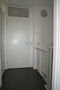 DSC_1105.jpg