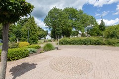 Lavendelveld_17_Doetinchem-4.jpg