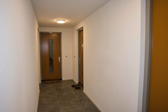 DSC_2431.jpg