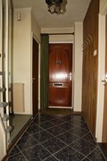 DSC_2557.jpg
