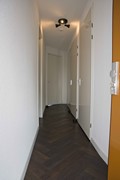 DSC_2835.jpg