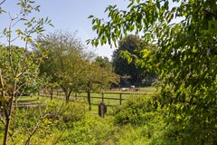 Koningsstraat_9_Zeddam-59.jpg