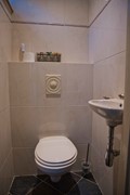 DSC_2993.jpg