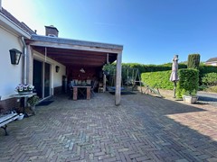IMG_6099.jpeg