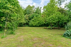 Tuin.jpg