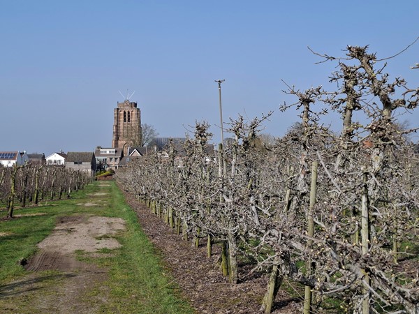 Te koop: Voorstraat, 4153 AJ Beesd