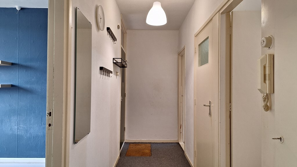 12-hal-20240820_112152.jpg 12-hal-20240820_112152.jpg