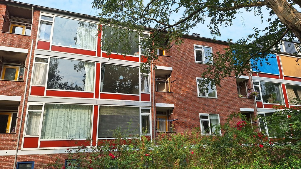 24-achterevel-20240820_093613.jpg 24-achterevel-20240820_093613.jpg