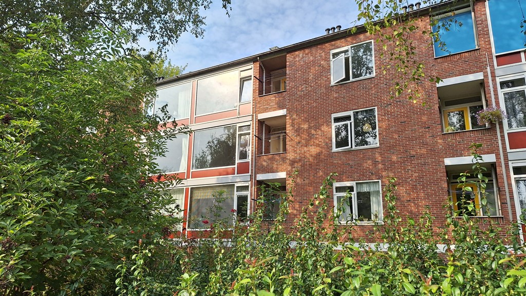 25-achterevel-20240820_094154.jpg 25-achterevel-20240820_094154.jpg