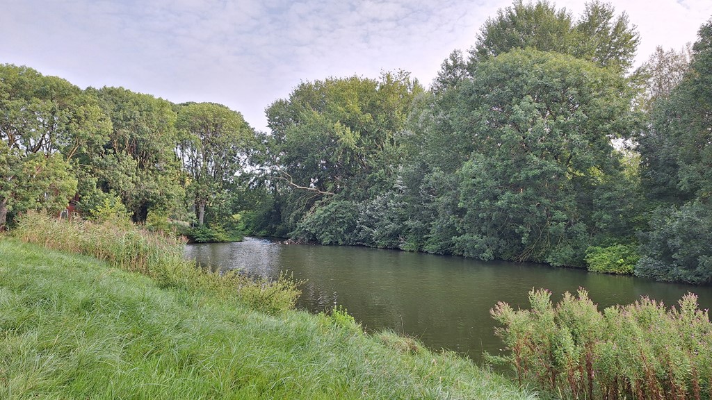 26-achter-20240820_093431.jpg 26-achter-20240820_093431.jpg