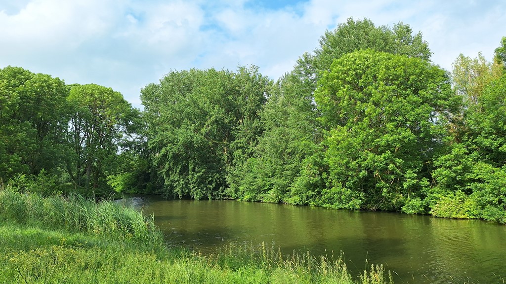 20240604_171706.jpg 20240604_171706.jpg