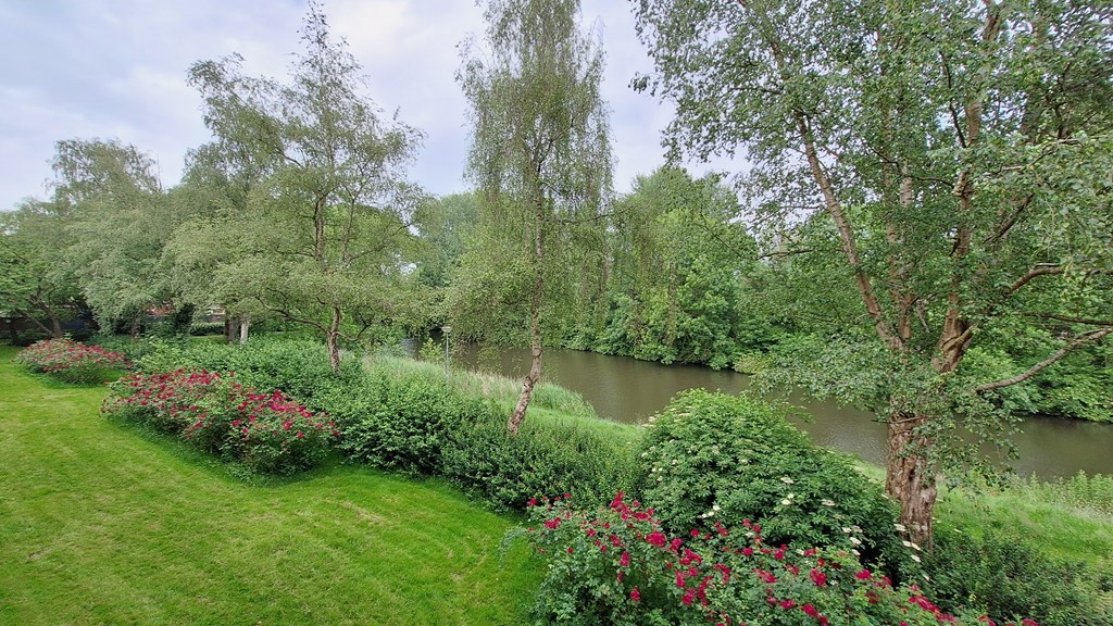 MakelaarVictor-Populierenlaan111-20240604_163444.jpg MakelaarVictor-Populierenlaan111-20240604_163444.jpg