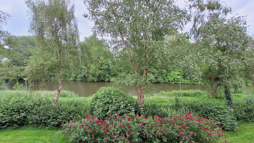 MakelaarVictor-Populierenlaan111-20240604_163439.jpg MakelaarVictor-Populierenlaan111-20240604_163439.jpg