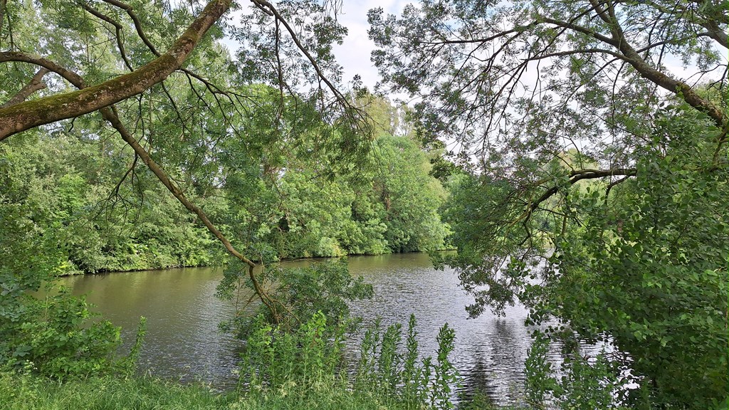 MakelaarVictor-Populierenlaan111-20240604_171822.jpg MakelaarVictor-Populierenlaan111-20240604_171822.jpg