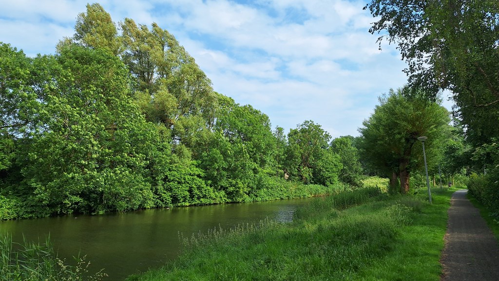 MakelaarVictor-Populierenlaan111-20240604_171726.jpg MakelaarVictor-Populierenlaan111-20240604_171726.jpg