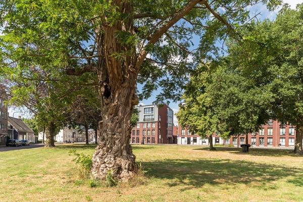 Medium property photo - Hoefstraat 29, 5046 BA Tilburg
