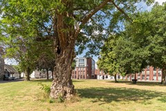 Hoefstraat 29, 5046 BA Tilburg 