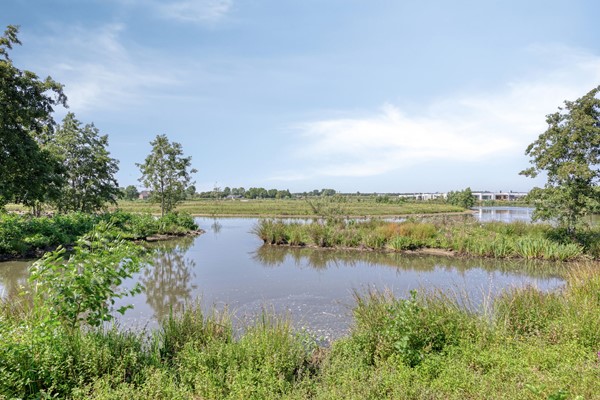 Medium property photo - Mostheuvelstraat 65, 5045 DP Tilburg