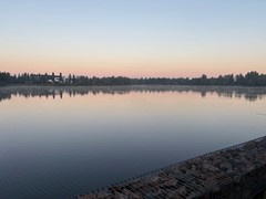 Oeverzwaluw 13, 5052 HA Goirle 