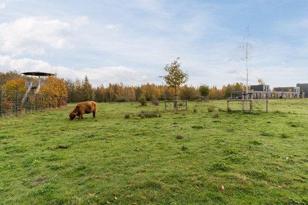 Foto - Te koop: Scharwoudestraat 57, 5035 LP Tilburg