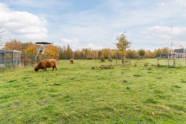 Foto - Te koop: Scharwoudestraat 57, 5035 LP Tilburg