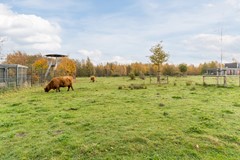 Scharwoudestraat 57, 5035 LP Tilburg 