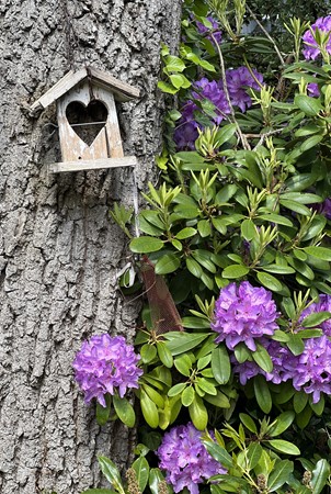 Foto - Te koop: Baronielaan 15, 5052 BX Goirle