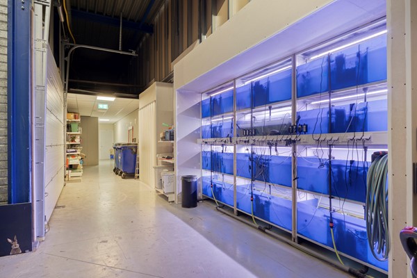 Foto - Te huur: Bosscheweg 247b, 5013 AB Tilburg