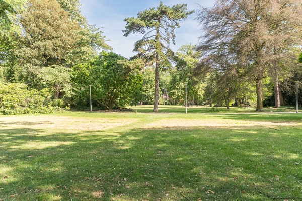 Foto - Te huur: Wilhelminapark 44a, 5041 ED Tilburg