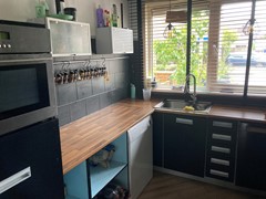 IMG_4681.jpeg