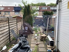 IMG_4686.jpeg